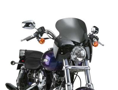 Windshield - N21601