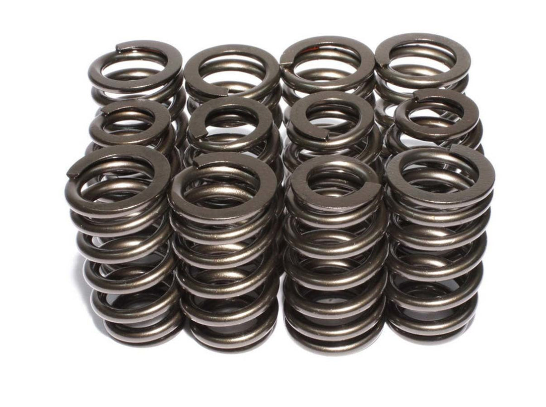 Valve Springs - 2691512