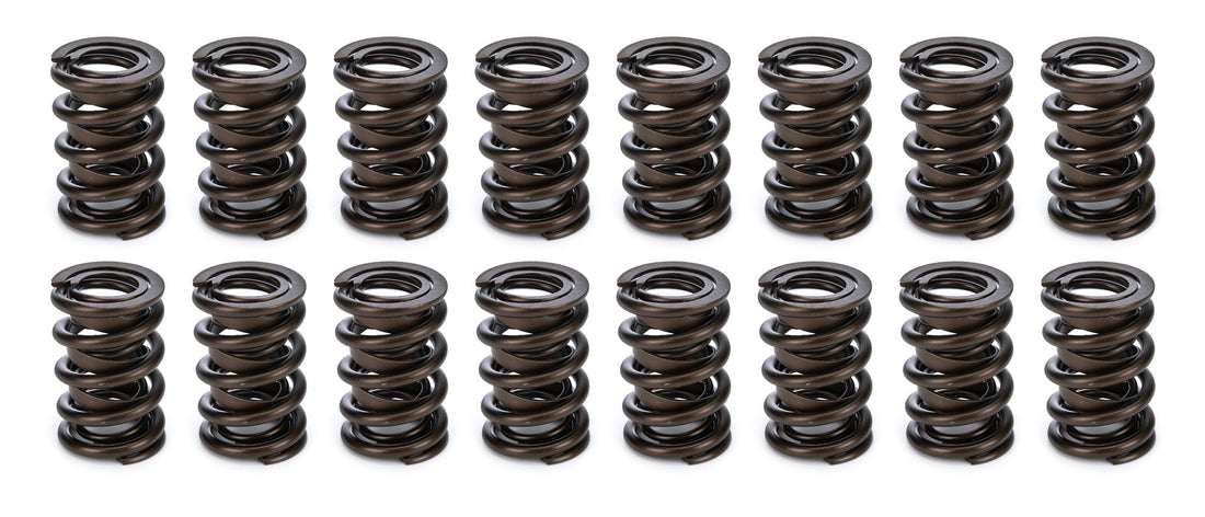 Dual Spring Set with/Damper .800 - 2692416