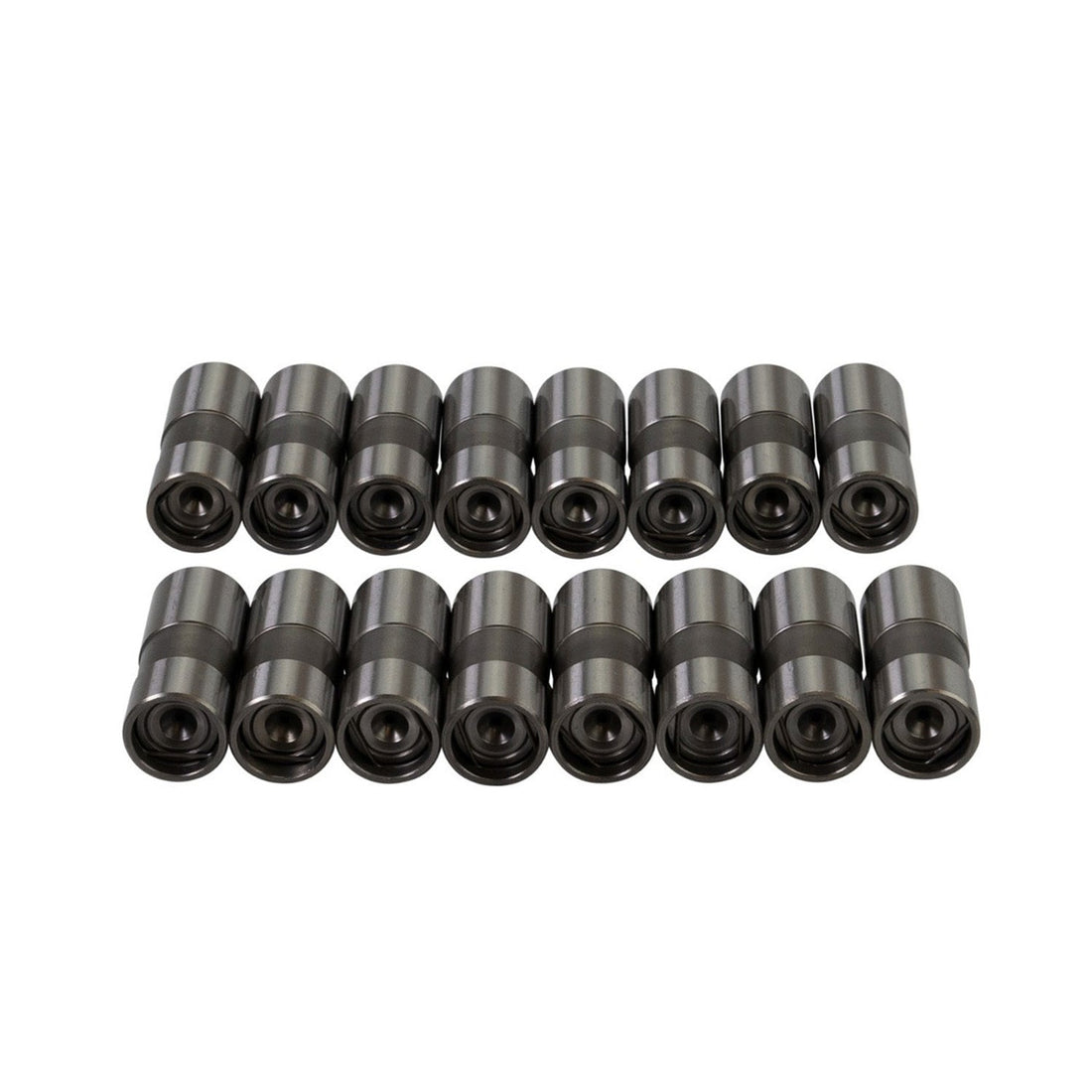 Dlc Hydraulic Lifter - 310103016