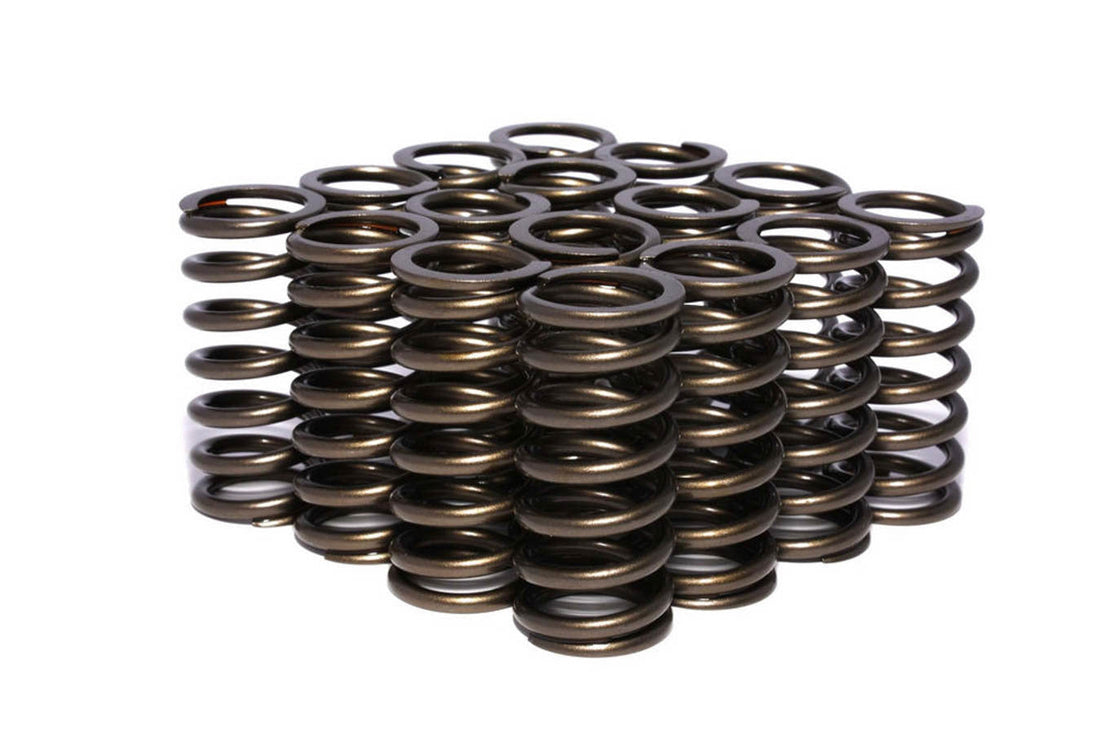 Valve Springs - 97316