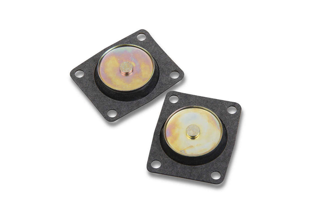 30cc Pump Diaphram (2pk) - 190015