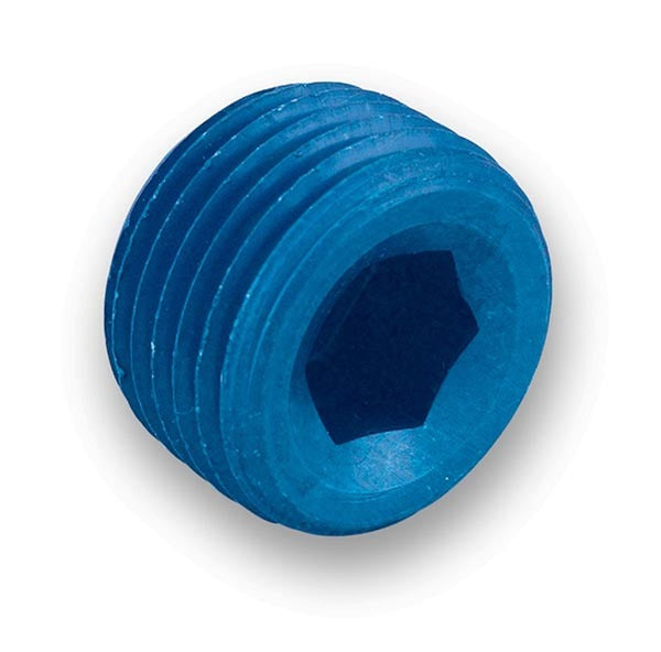 1/2in Pipe Plug - 993205ERL