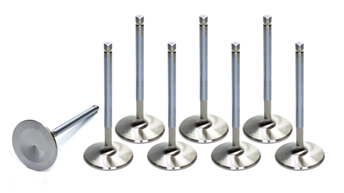 8 Intake Valves 2.19 - 9775