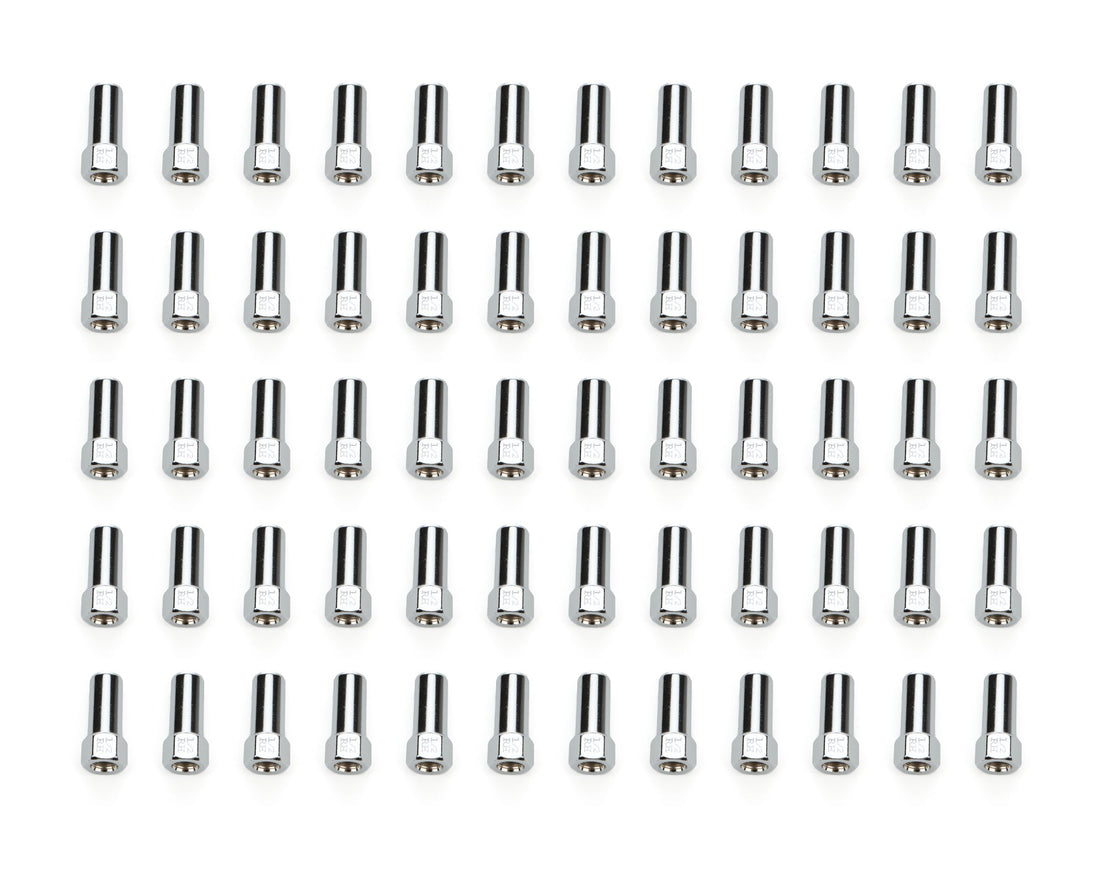 60 Lugnuts SST OE LUG 13/16in 1/2 C - 84088S