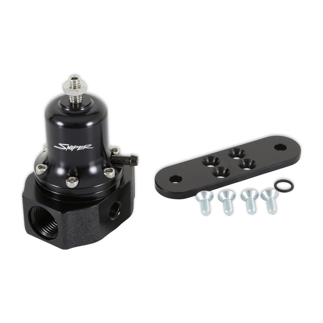 Fuel Pump Regulator - 19395