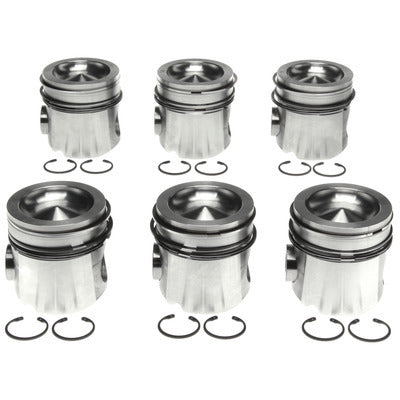 Pistons with Rings Set of 6 - 2243673WR040