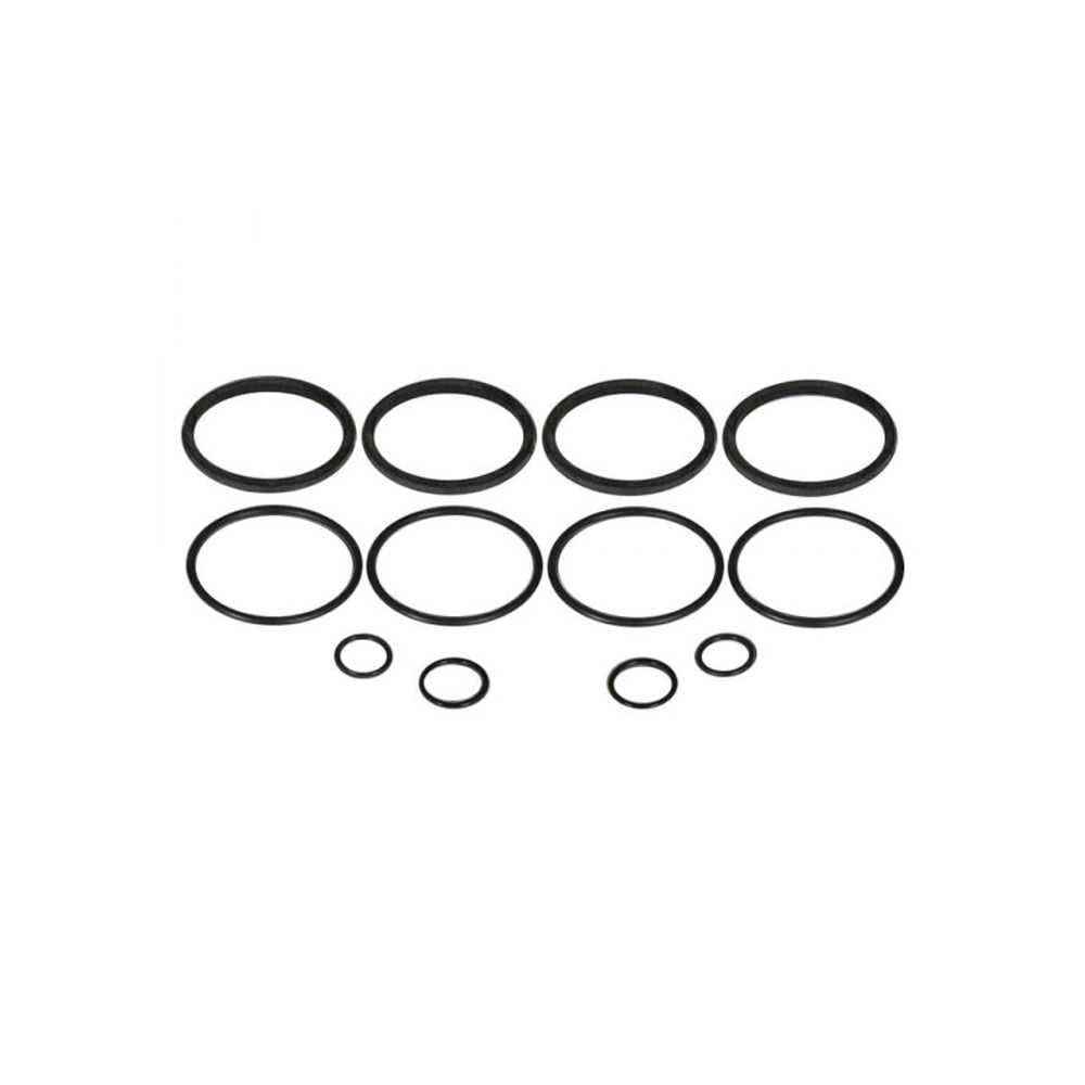 O-Ring Kit - for Early Strange 4-Piston Caliper - B5105