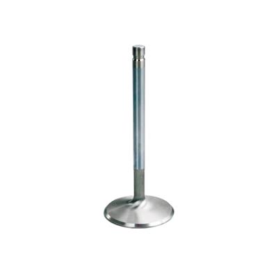 Edelbrock Stainless Steel Valves - 9368