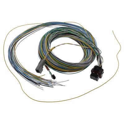FuelTech FT550 B Unterminated Harnesses - 2001005571