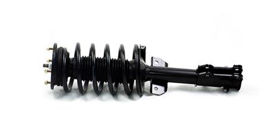 Gabriel Ultra ReadyMount Struts - G57271