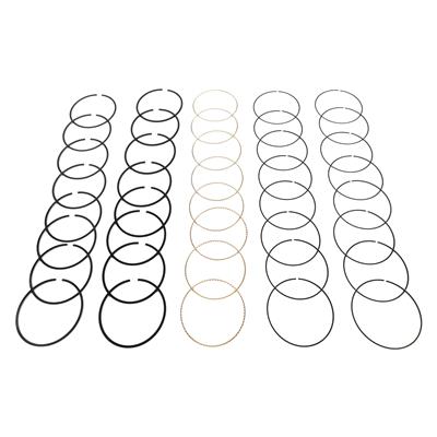 Hastings Premium Ductile Ring Sets - 2M5380