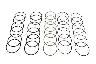 Hastings Premium Ductile Ring Sets - 2M5462