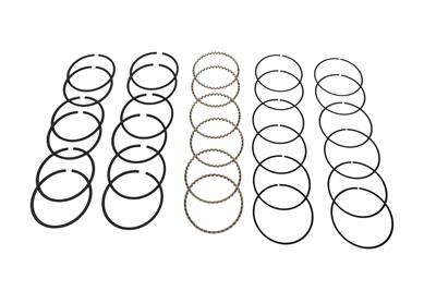 Hastings Premium Ductile Ring Sets - 2M586040