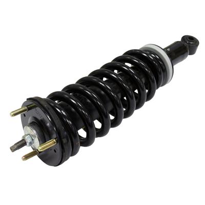Monroe Quick-Struts - 171347L