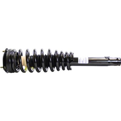 Monroe Quick-Struts - 172596