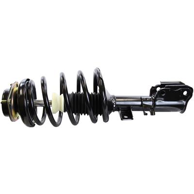 Monroe Quick-Struts - 172638