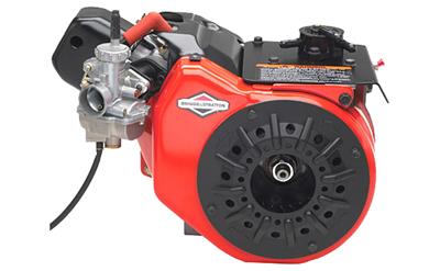 Briggs & Stratton Animal Crate Engines - 1243328003