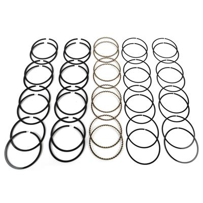Sealed Power Cast Piston Rings - E299X30