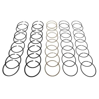 Sealed Power Performance Piston Ring Sets - E300K