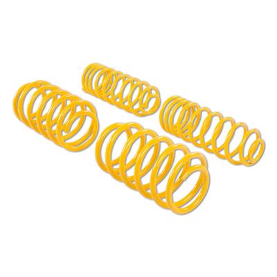 ST Suspensions Coil Springs - 68325